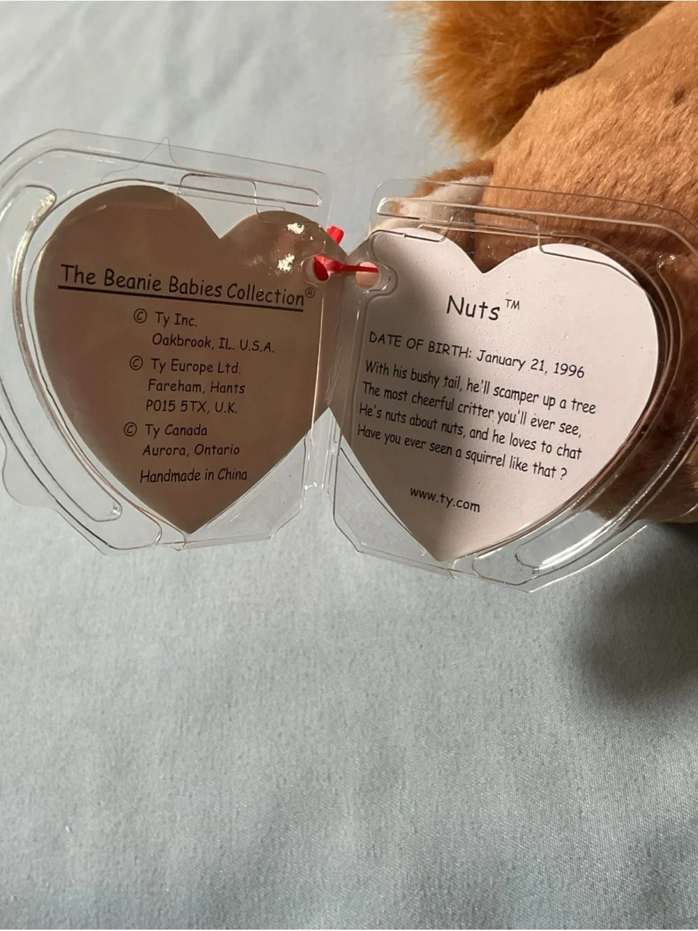 Ty Nuts Brown and Cream Squirrel Plush with Tags